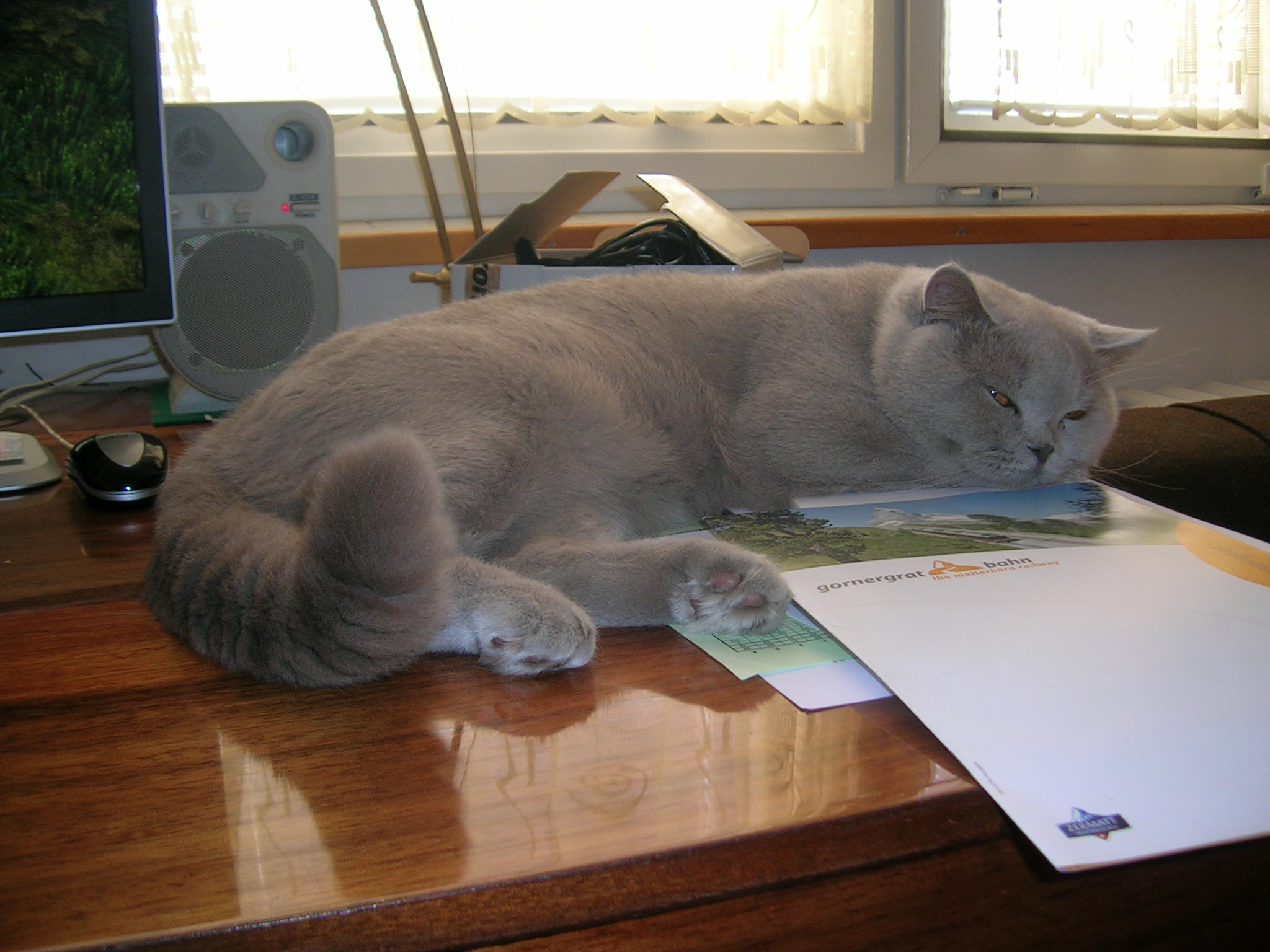 DSCN4690.JPG