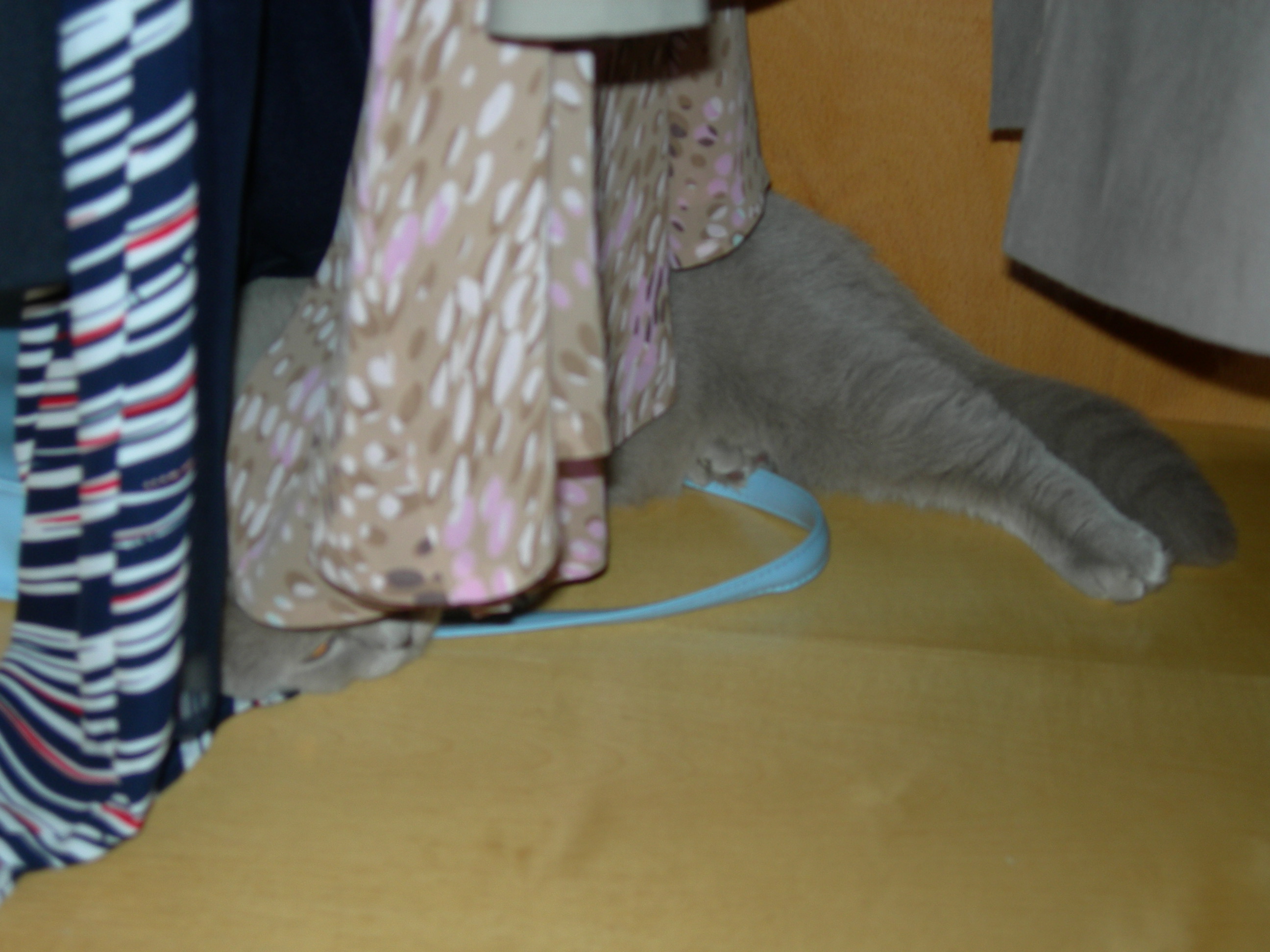 DSCN0479.JPG