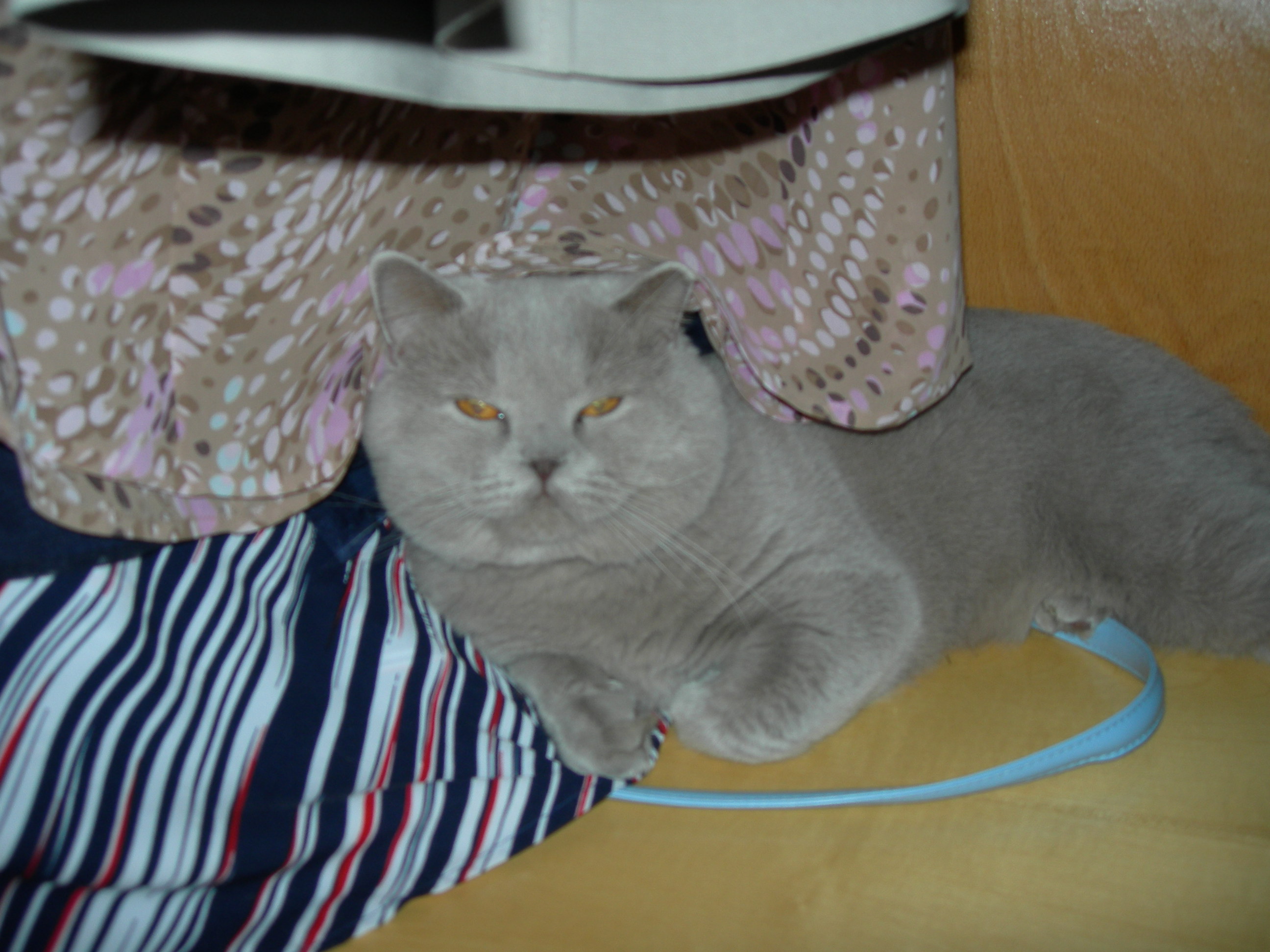 DSCN0483.JPG